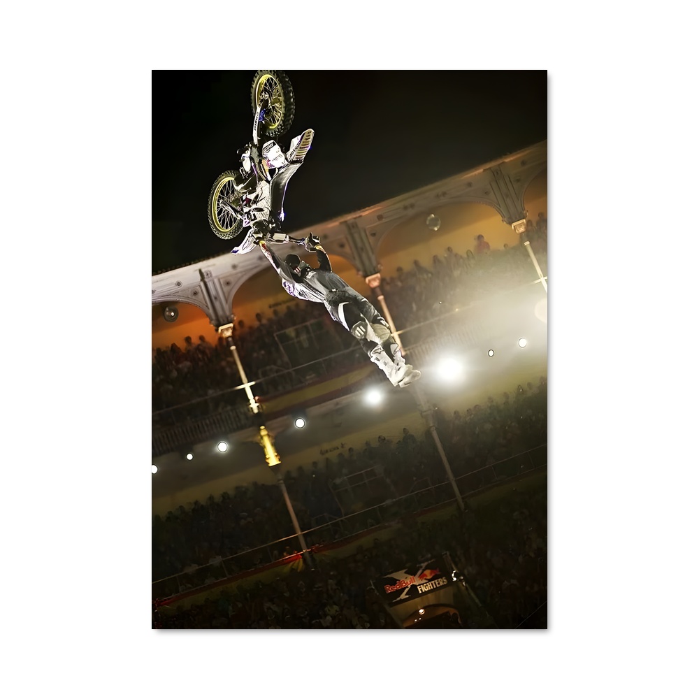 Poster Sky Rider
